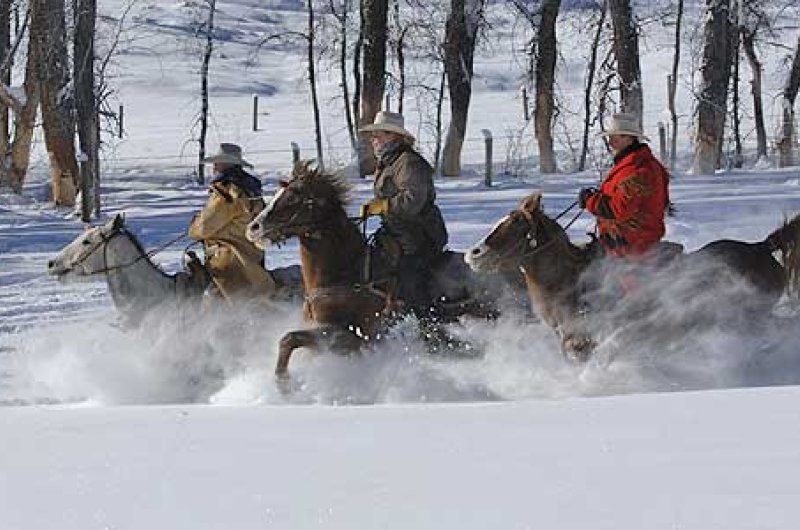 Cowboys im Schnee bei Sonne