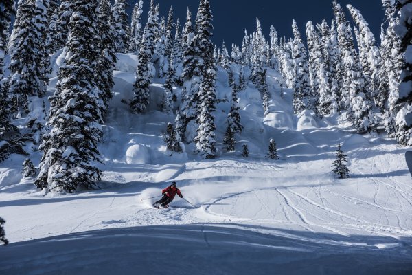 CMH Heli-Skiing - The Public Works