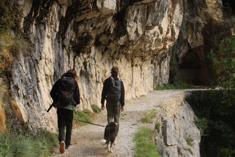 Zwei Personen und ein Hund wandern auf einem schmalen Pfad entlang einer Klippe in den Bergen.