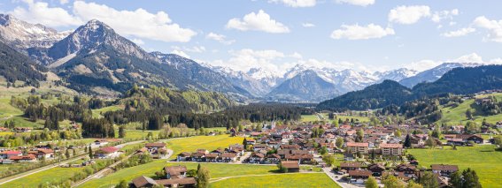 Fruehling-loewenzahn-fischen-hoernerdoerfer-allgae