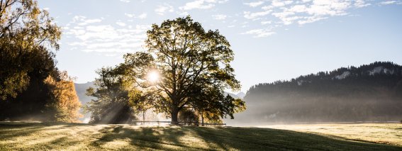 Magischer-ort-spoeck-obermaiselstein-hoernerdoerfe