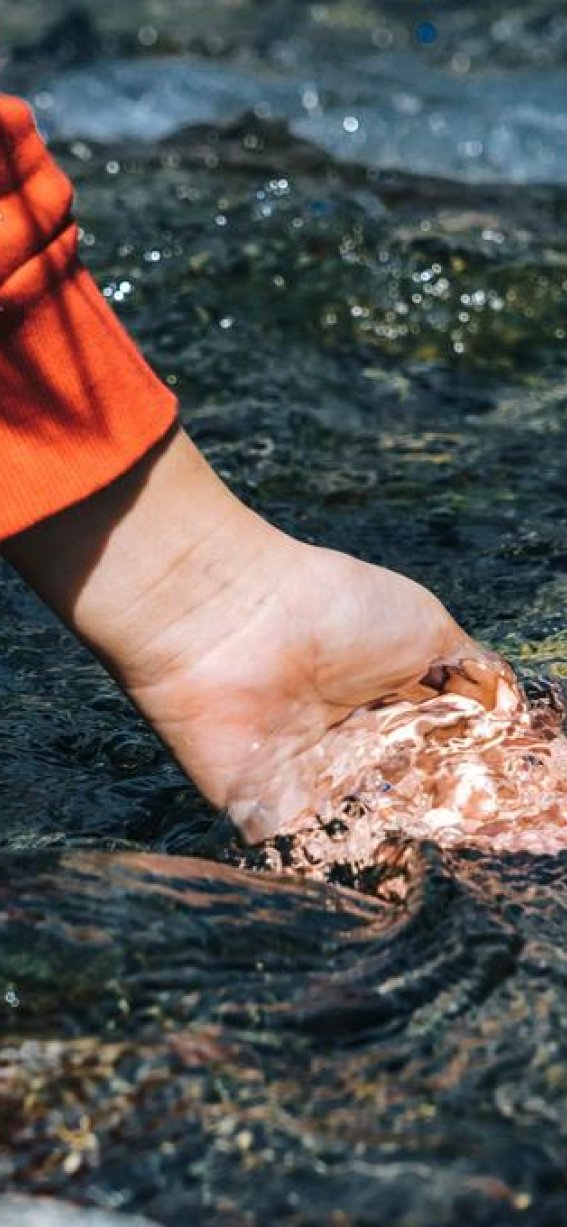 Csm 38 wald rehnatur ferienwohnungen allgaeu gundelsberg bayern hoernerdoerfer familienurlaub 3f470b781d