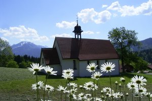Kapelle mit Margeriten
