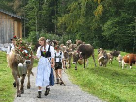 Viehscheid
