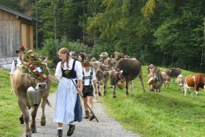 Viehscheid