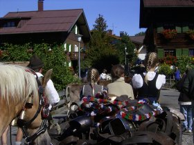Viehscheid 1