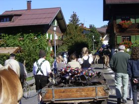 Viehscheid 2