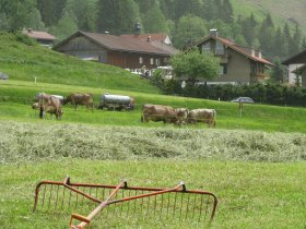 Landwirtschaft