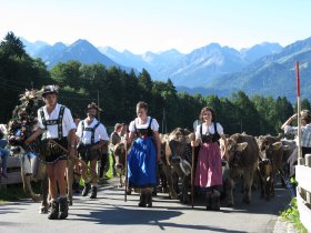SeealpeViehscheid