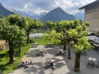 Ahorngarten im Frühling