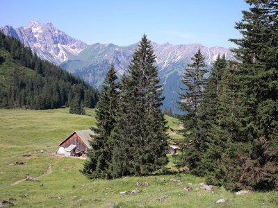 Willers-alpe