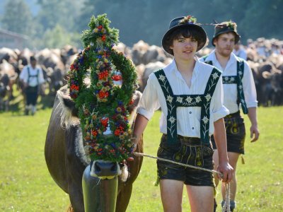 Bad Hindelang Tourismus Wolfgang B. Kleiner Viehscheid BadHindelang1