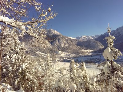 Winterwald