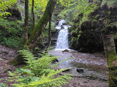 Wildbachtobel Sommer