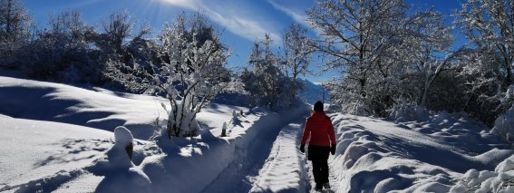 Winterstimmung