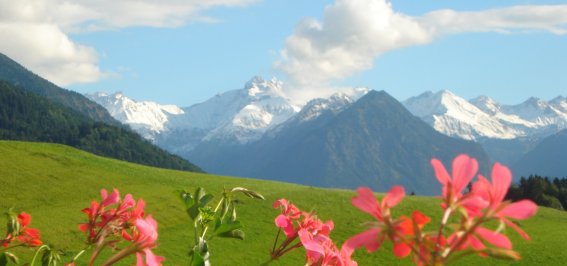 Bergblick