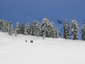 Wandern im Schnee2