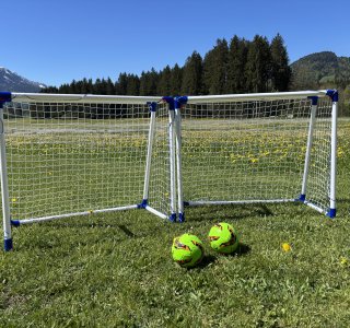 Fußballtore