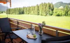 Balkon Käse Blumen