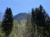 Ausblick s´Bergnest