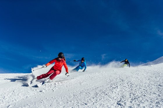 Salomon