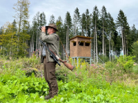 Wildbeobachtung
