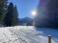 Loipe ganz in der Nähe