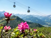 Sommer Bergbahn Inklusive