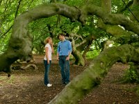 Süntelbuchenallee Bad Nenndorf