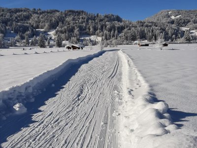 Langlaufloipe am 3.12.2023