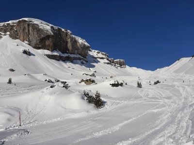 IMG-20240308-WA0005