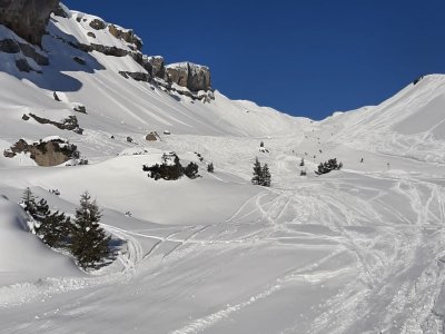 IMG-20240308-WA0006