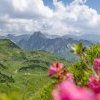 Nebelhorn