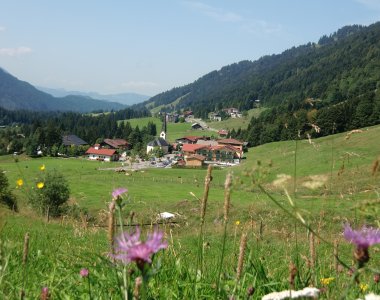 Es blüht auf den Wiesen in Balderschwang zur Sommerzeit