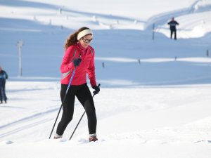 Viele Lopien im Allgäu für optimale Langlauf Bedingungen