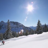 Winterwandern mit Sonne