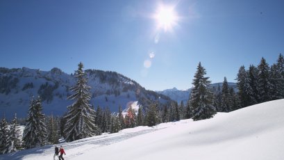 Winterwandern mit Sonne