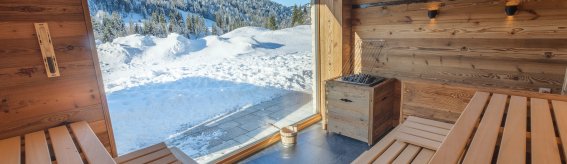 Finnische Sauna mit Ausblick in die Natur