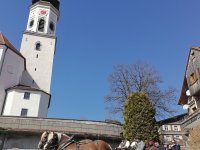 Kutsche