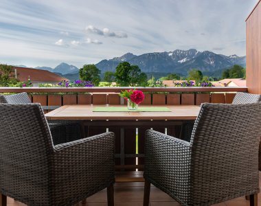 Drosselnest Blick vom Balkon