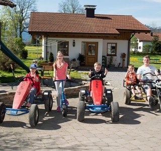 Fahrzeuge Gokart´s