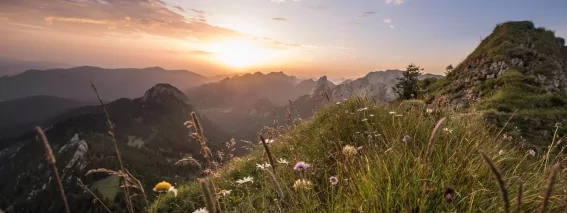 Csm 20170803-Auswahl Suedliches Allgaeu  246  108fa7489d