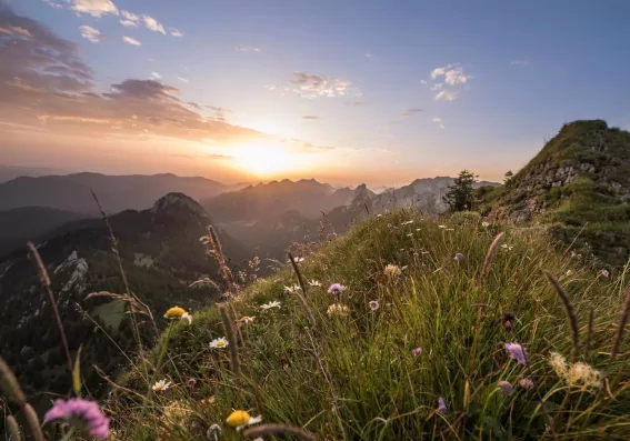 Csm 20170803-Auswahl Suedliches Allgaeu  246  108fa7489d