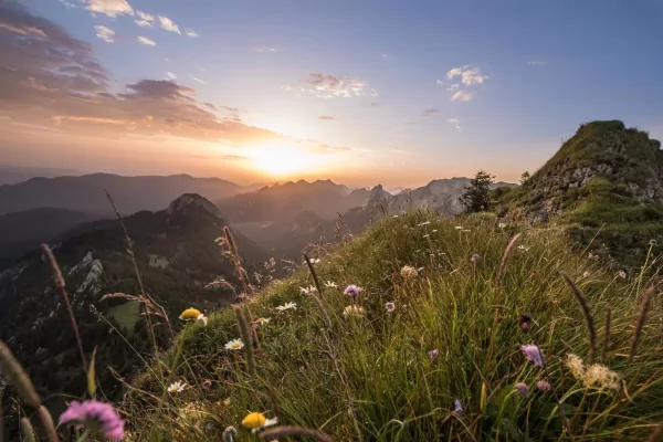 Csm 20170803-Auswahl Suedliches Allgaeu  246  108fa7489d