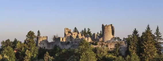 Csm IMG 3029B1 6833c2a236