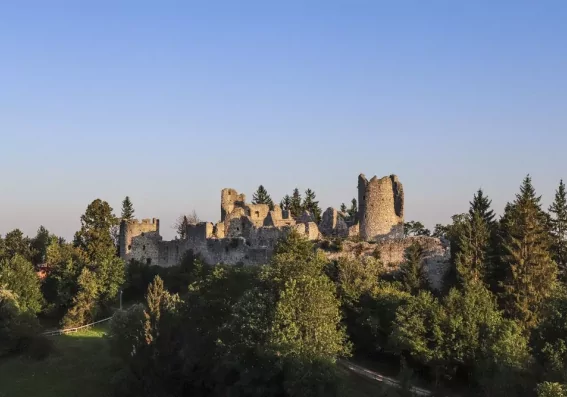 Csm IMG 3029B1 6833c2a236