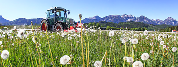 Traktor beim Mähen