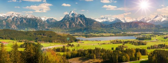 AdobeStock 212723859