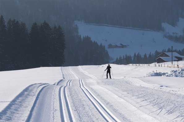 Cross-country-skiing-113018 1920 b
