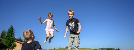 Ferienhof Schweiger-Spielplatz-5527